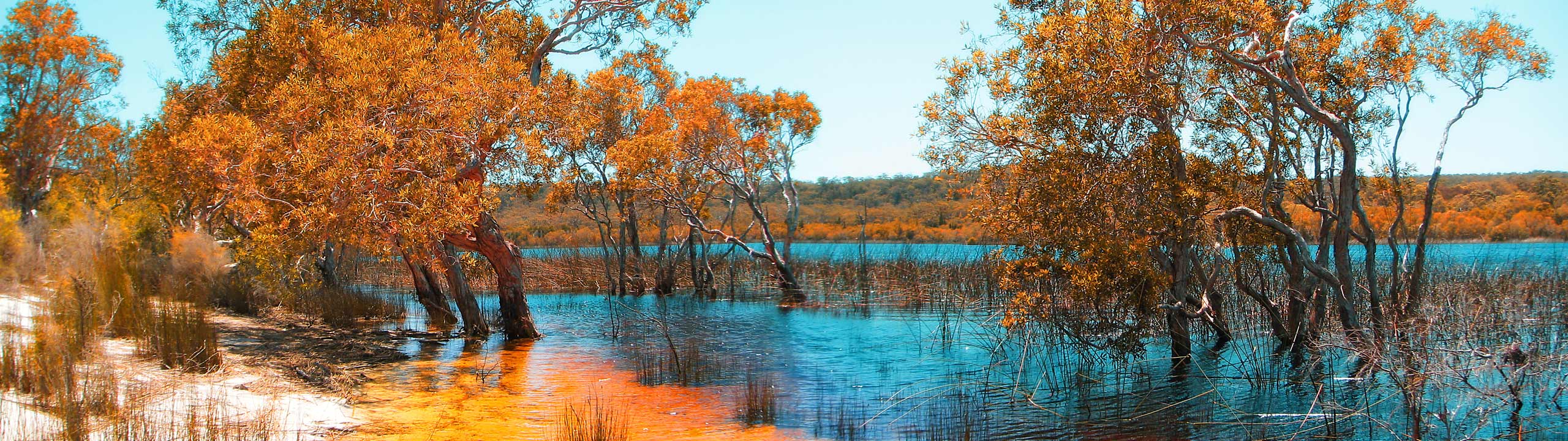 Stradbroke-Island-north-tour