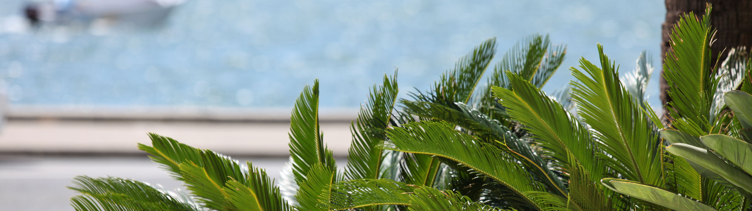 australian-boat-trips