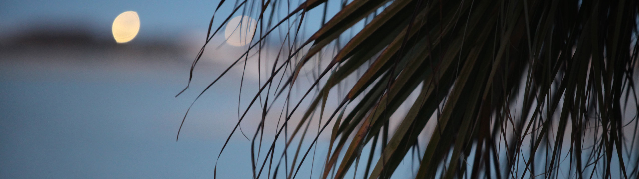 romantic-sunset-cruise